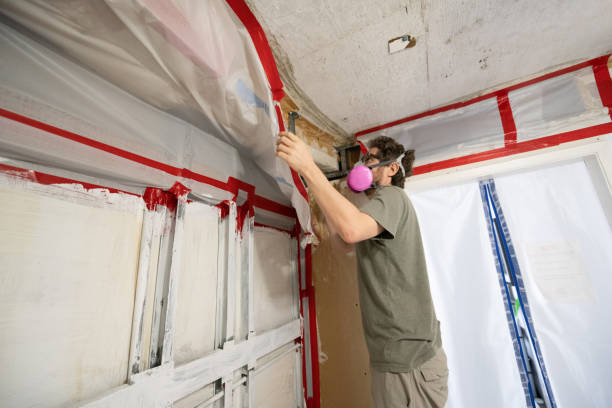 West Grove, PA Mold Removal Company