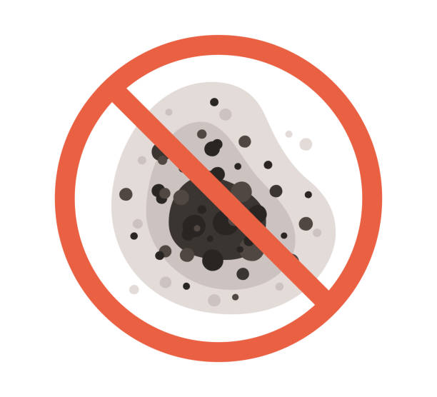 Best Indoor Air Quality Assessment  in West Grove, PA