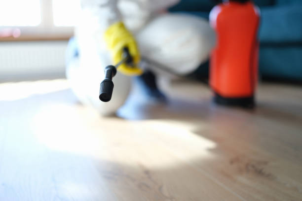 Best Black Mold Removal  in West Grove, PA